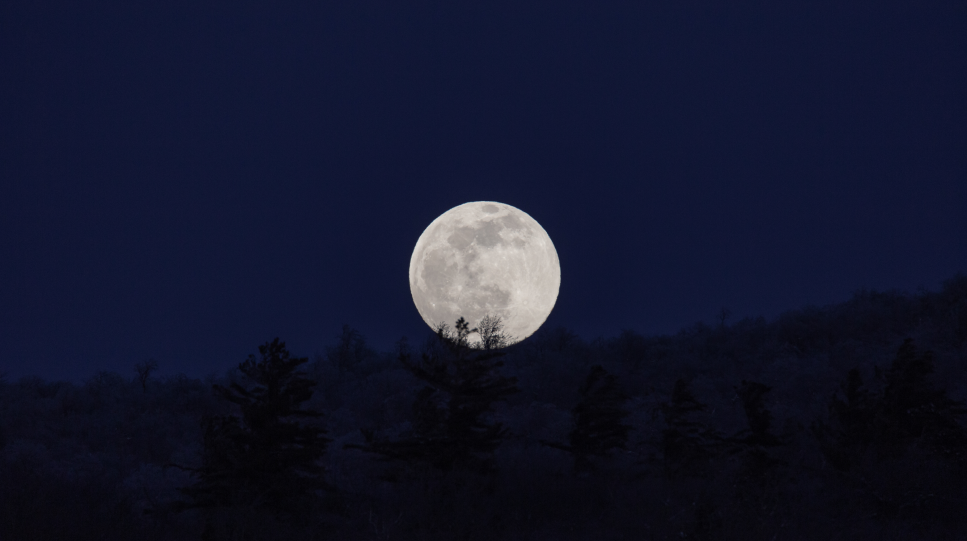 Full Moon Cleansing Ritual With Palo Santo - Luna Sundara